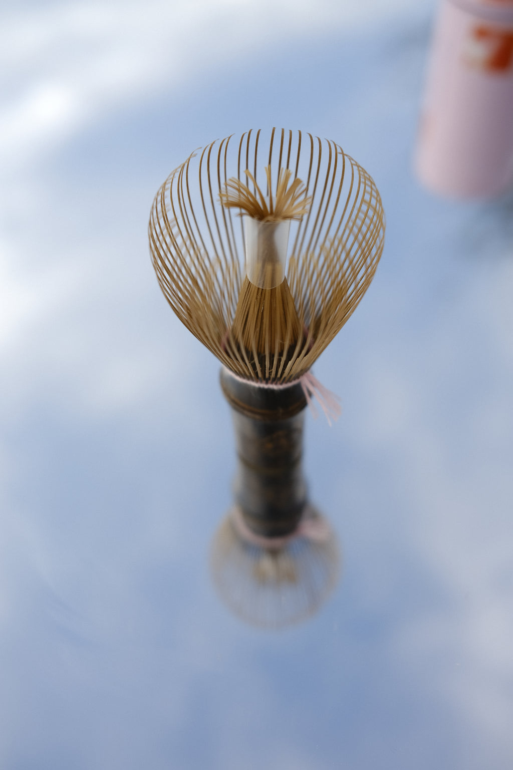 Shin Chasen  - White Bamboo 100 prongs (Pink Thread)