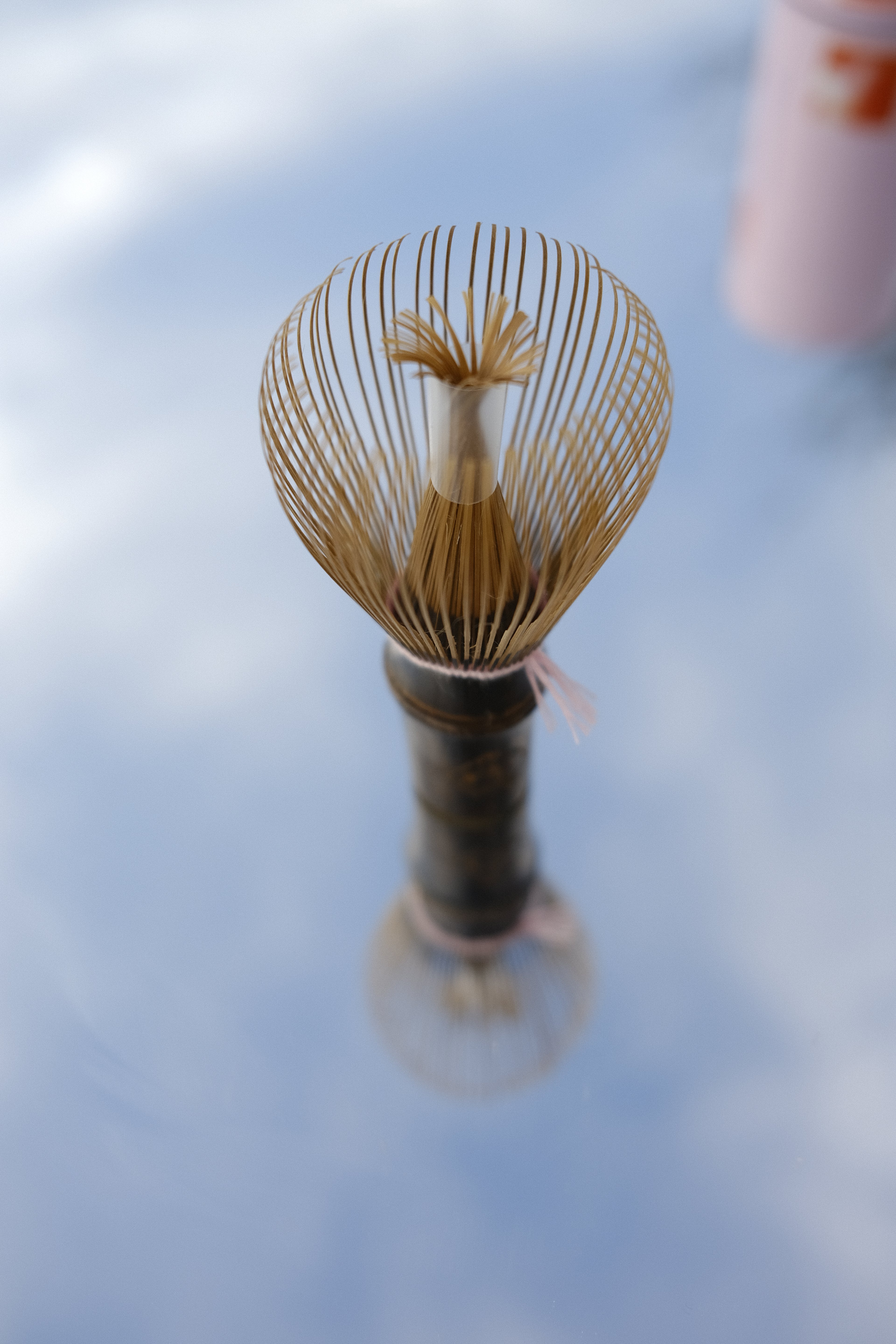 Shin Chasen  - White Bamboo 100 prongs (Pink Thread)