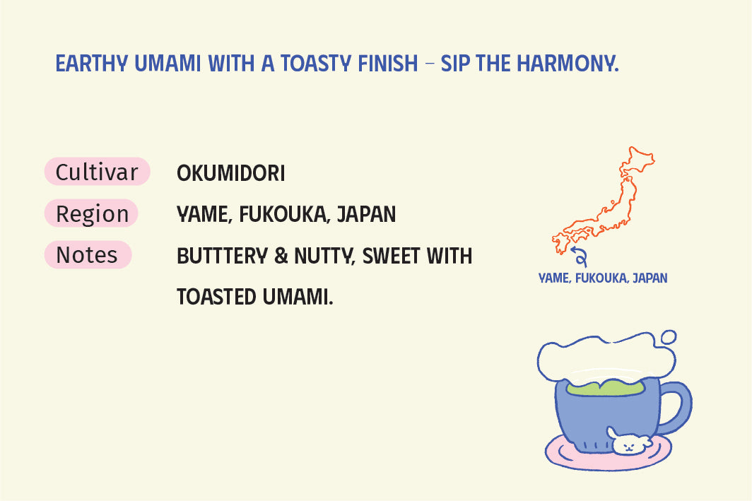 Yame Okumidori Matcha - First Harvest Flush - CafeKobe LIMITED*